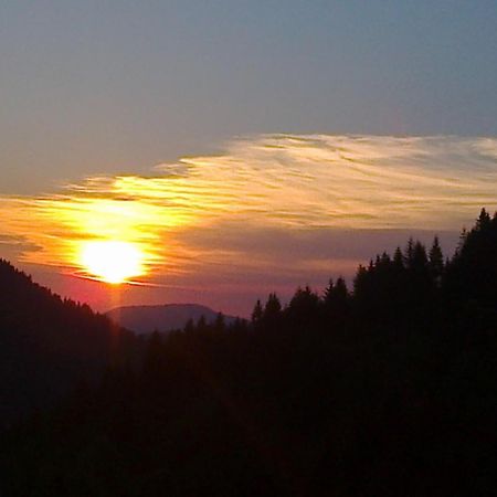 Apartman Bambi Zlatar Nova Varoš Cameră foto